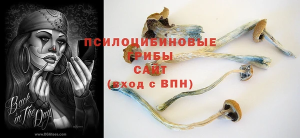 крисы Баксан