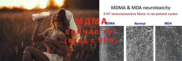 крисы Баксан
