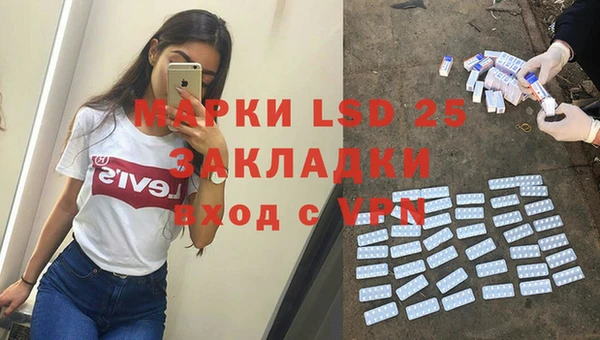 гашик Аркадак